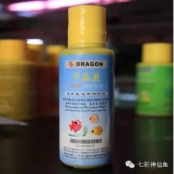 魟魚(yú)水霉病的日常護(hù)理：魟魚(yú)水霉病日常護(hù)理