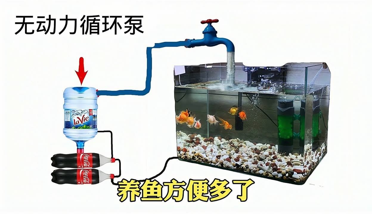 50厘米長(zhǎng)魚缸最佳尺寸：50厘米長(zhǎng)的魚缸尺寸，魚缸造景設(shè)計(jì)要點(diǎn)