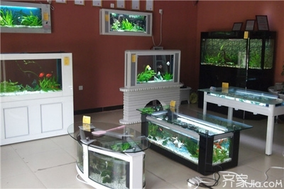 龍魚和三間魚打架嗎會死嗎