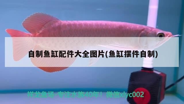 魚缸用增氧泵價格是多少:魚缸增氧機-xtrac增氧機-xtrac增氧機 自制魚缸配件大全圖片(魚缸擺件自制) 魟魚百科 自制魚缸配件大全圖片(魚缸擺件自制) 自制魚缸配件大全圖片(魚缸擺件自制) 魟魚百科