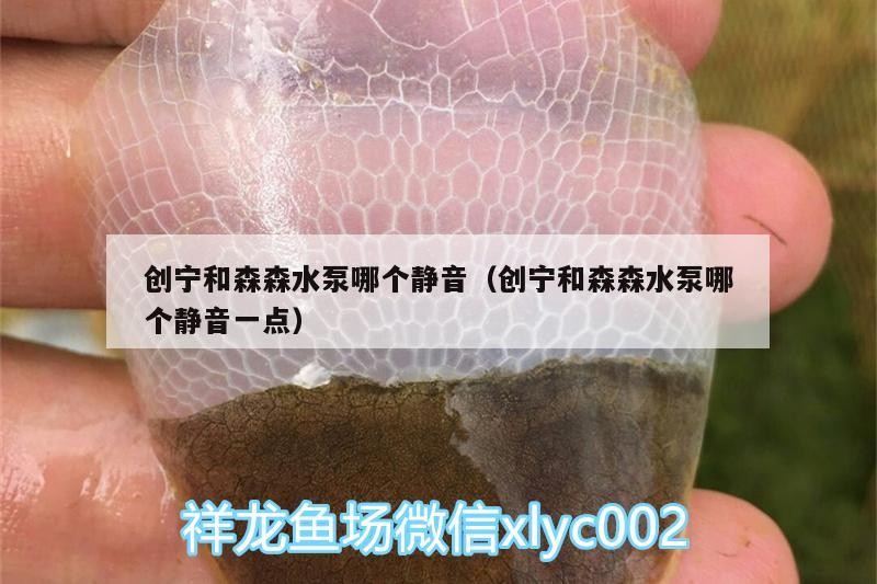 創寧和森森水泵哪個靜音（創寧和森森水泵哪個靜音一點） 創寧和森森水泵哪個靜音（創寧和森森水泵哪個靜音一點） 創寧水族