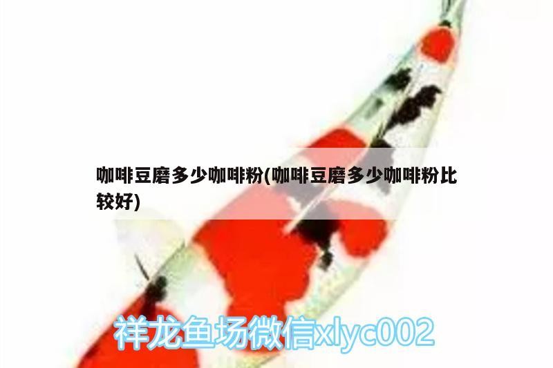 咖啡豆磨多少咖啡粉(咖啡豆磨多少咖啡粉比較好) 咖啡豆磨多少咖啡粉(咖啡豆磨多少咖啡粉比較好) 馬來西亞咖啡