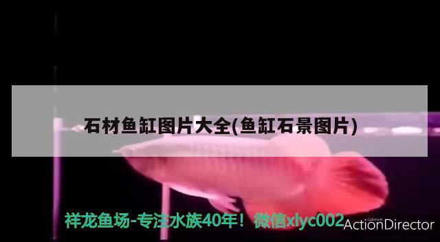 石材魚缸圖片大全(魚缸石景圖片)