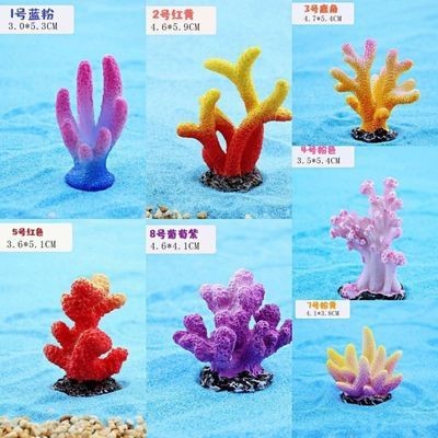 博特拉大學熱門專業（博特拉大學最好的專業）