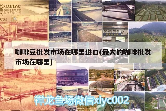 咖啡豆批發市場在哪里進口(最大的咖啡批發市場在哪里)