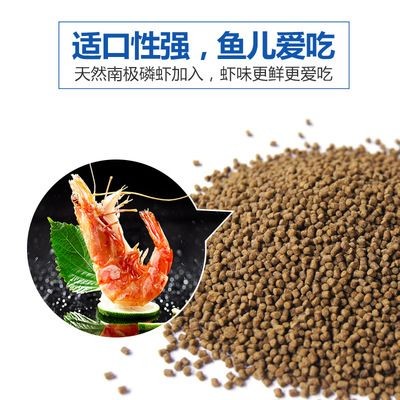 十公分虎魚喂什么飼料好 十公分虎魚喂什么飼料好 虎魚百科 第3張