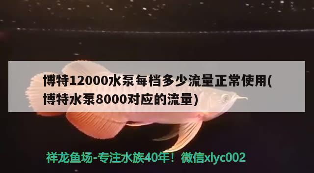 博特12000水泵每檔多少流量正常使用(博特水泵8000對應的流量)
