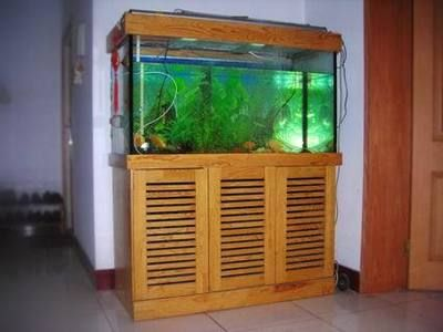 大魚缸怎么搬家好看：大魚缸搬家步驟和注意事項