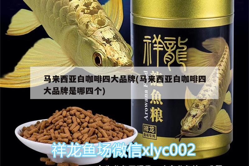 馬來西亞白咖啡四大品牌(馬來西亞白咖啡四大品牌是哪四個)