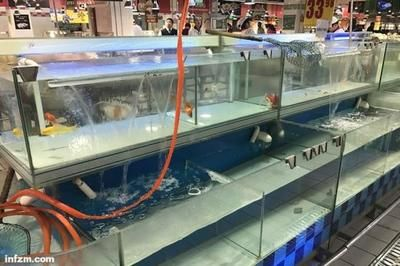 超市賣淡水魚專用魚缸怎么樣啊：超市賣的淡水魚專用魚缸有什么特點(diǎn)
