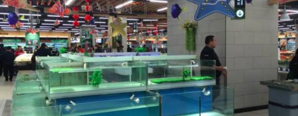 超市賣淡水魚專用魚缸怎么樣啊：超市賣的淡水魚專用魚缸有什么特點(diǎn)
