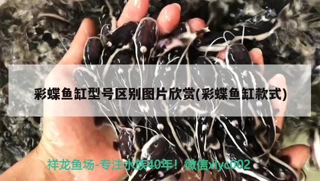 彩蝶魚缸型號區別圖片欣賞(彩蝶魚缸款式)