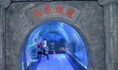 安陽水族館vs祥龍魚場（安陽水族館和祥龍魚場哪個好）