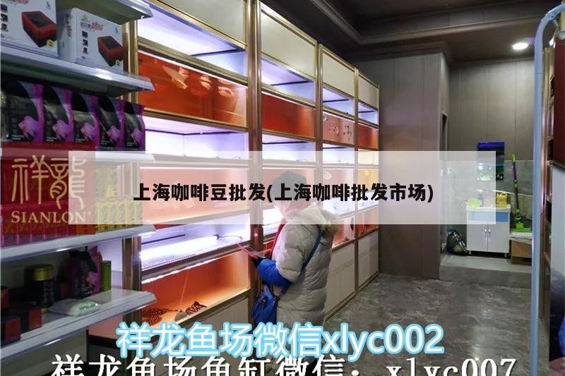 上海咖啡豆批發(上海咖啡批發市場)