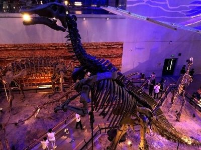 梅州水族館vs祥龍魚場（梅州哪里有水族館？）