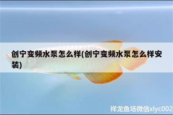 龍魚蒙眼病的治療周期是多久？