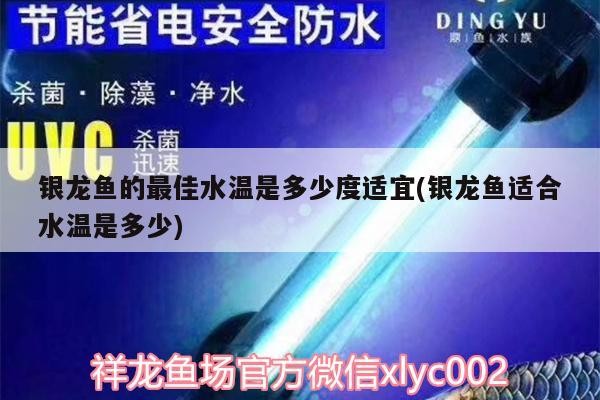 銀龍魚(yú)的最佳水溫是多少度適宜(銀龍魚(yú)適合水溫是多少) 銀龍魚(yú)的最佳水溫是多少度適宜(銀龍魚(yú)適合水溫是多少) 銀龍魚(yú)百科