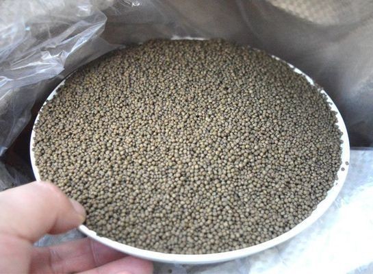 黑金魟魚適宜的飼料選擇：黑金魟魚飼料品牌推薦