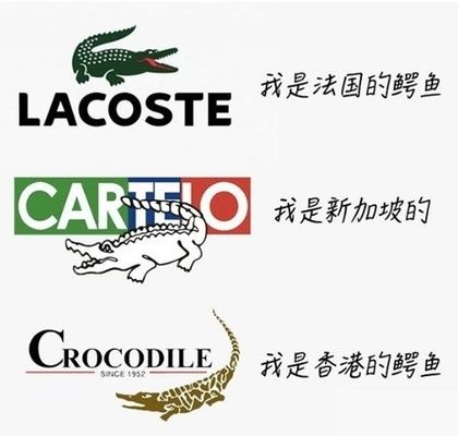三文太虎魚：“三文太虎魚”的飼養方法和注意事項