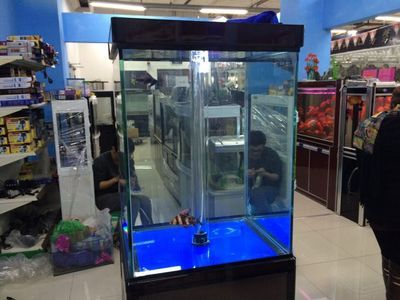大型觀賞魚缸推薦：大型觀賞魚缸養殖注意事項推薦森森(sunsun)