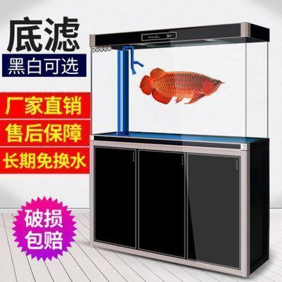 龍魚一天打氧多久vs祥龍魚場：龍魚一天打氧多久