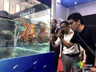 19mm玻璃魚缸極限水位：19mm玻璃魚缸極限水位設(shè)計(jì)原則和安全性要求 19mm玻璃魚缸極限水位：19mm玻璃魚缸極限水位設(shè)計(jì)原則和安全性要求 魚缸百科 第3張