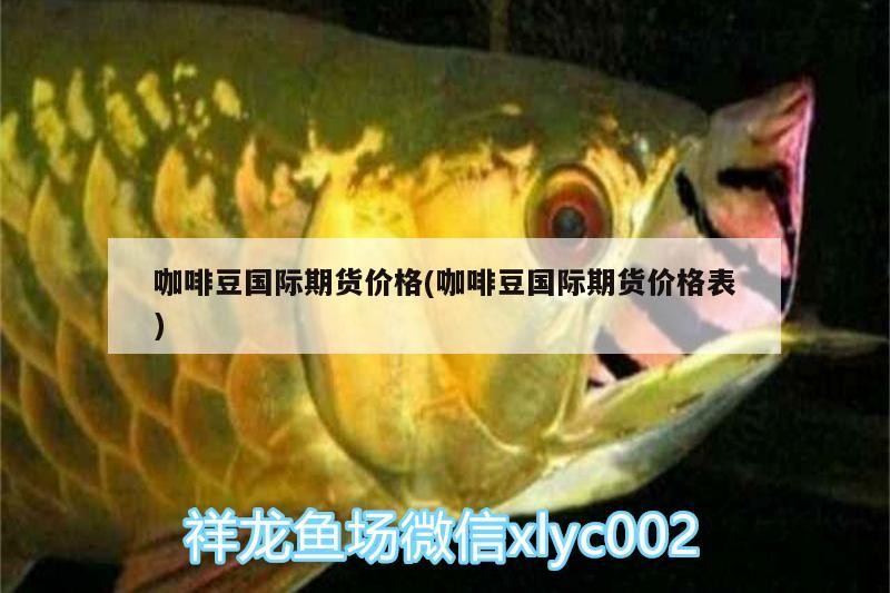咖啡豆國際期貨價格(咖啡豆國際期貨價格表)