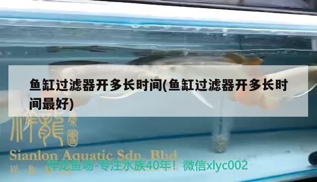 魚缸過濾器開多長時間(魚缸過濾器開多長時間最好)