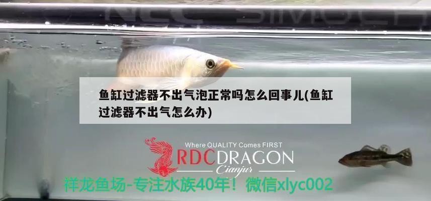水泵森森的好還是創寧的好（森森水泵和創寧水泵哪個好）