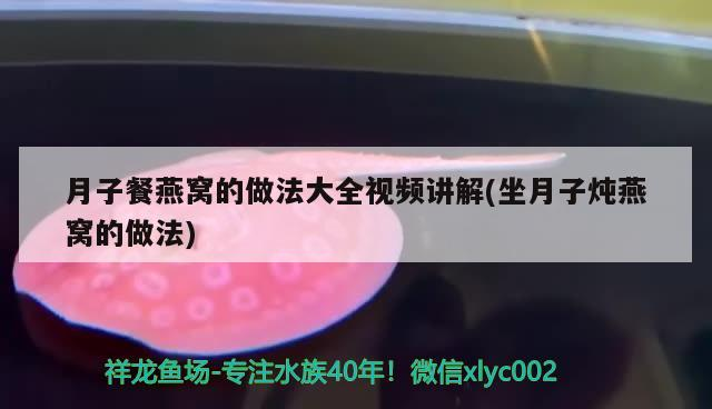 日照魚缸回收電話號(hào)碼多少號(hào)（日照魚缸批發(fā)市場(chǎng)）