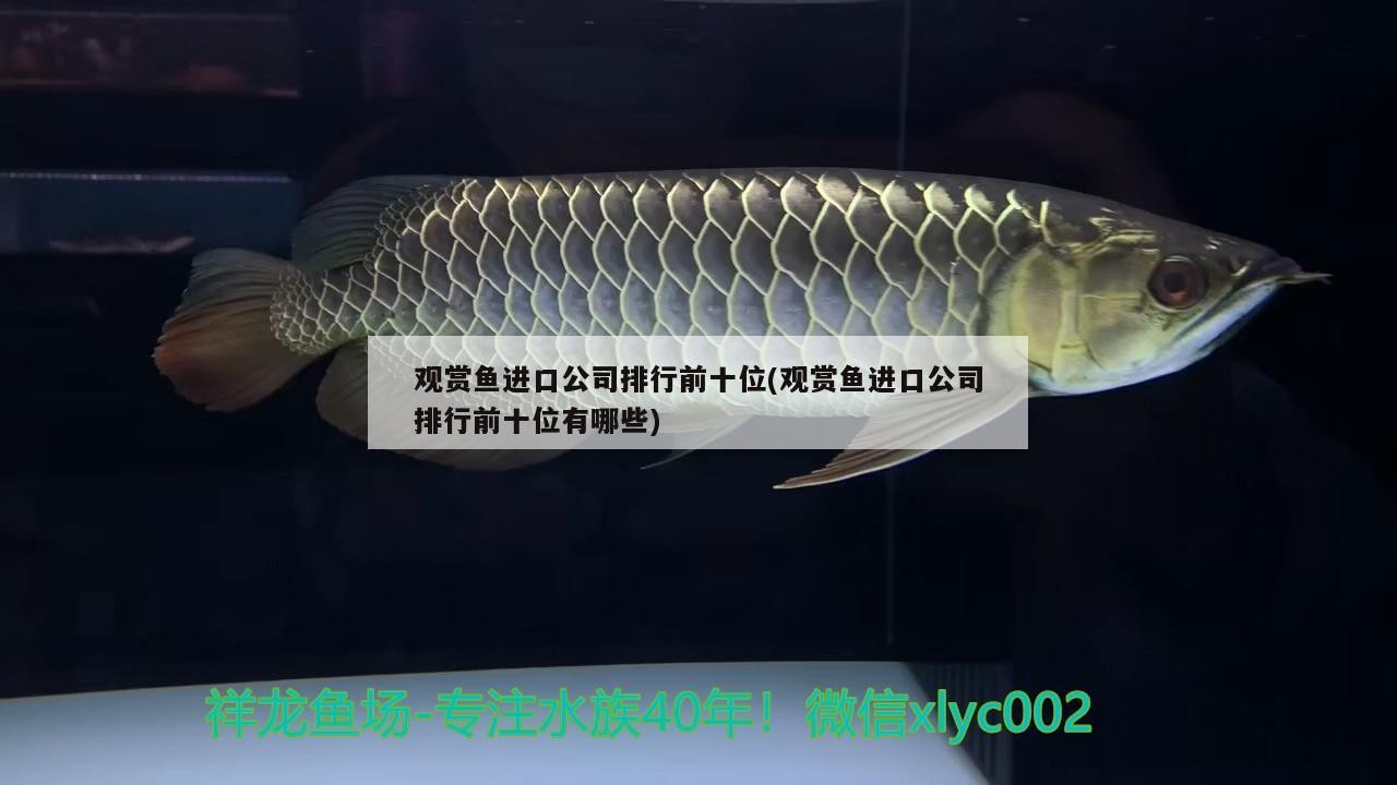 日照魚缸回收電話號碼多少號（日照魚缸批發市場）