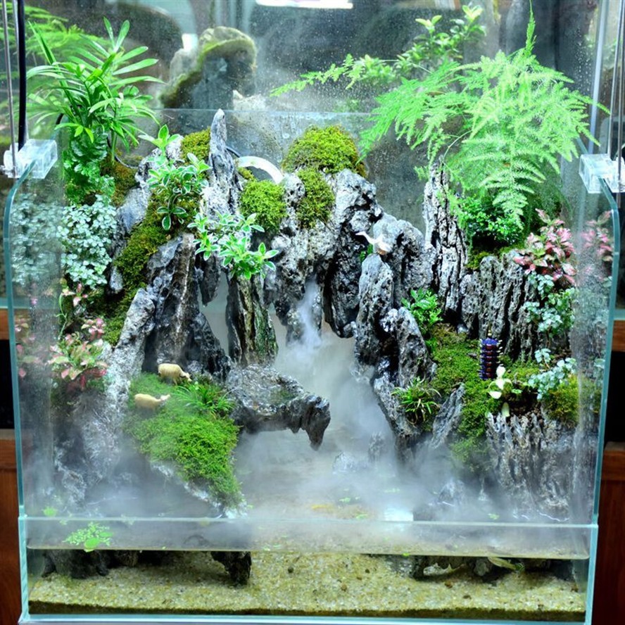 50的魚缸可不可以養一條小銀龍：一個長60.高50.寬30的魚缸能養銀龍魚嗎？ 50的魚缸可不可以養一條小銀龍：一個長60.高50.寬30的魚缸能養銀龍魚嗎？ 魚缸百科 第3張