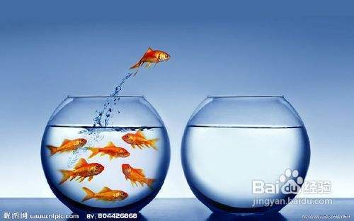 北京匯兆商貿(mào)有限責(zé)任公司（北京匯兆商貿(mào)有限責(zé)任公司怎么樣）