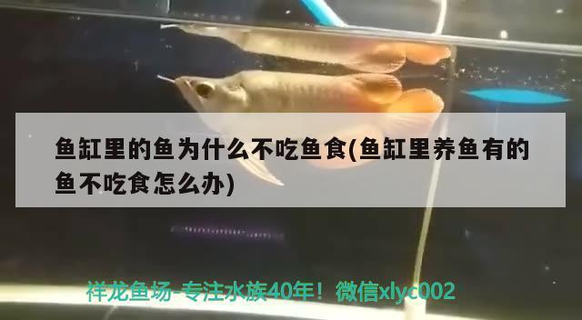 博特魚(yú)缸哪里生產(chǎn)的啊好用（博特魚(yú)缸哪里生產(chǎn)的啊好用啊） 博特魚(yú)缸哪里生產(chǎn)的啊好用（博特魚(yú)缸哪里生產(chǎn)的啊好用啊） 博特水族
