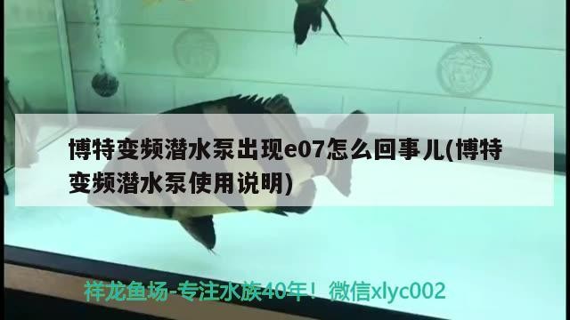 博特變頻潛水泵出現(xiàn)e07怎么回事兒(博特變頻潛水泵使用說明)