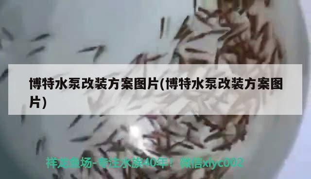 博特水泵改裝方案圖片(博特水泵改裝方案圖片)