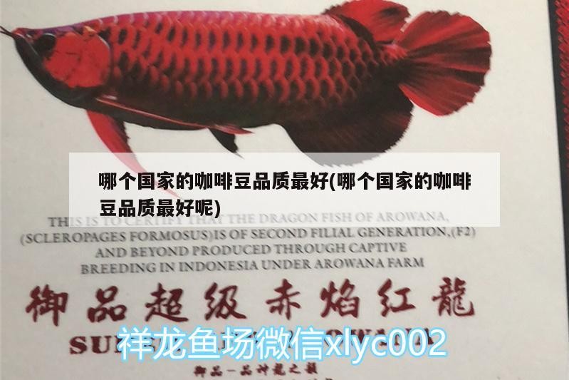 哪個(gè)國(guó)家的咖啡豆品質(zhì)最好(哪個(gè)國(guó)家的咖啡豆品質(zhì)最好呢)