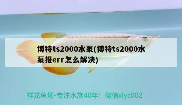 博特ts2000水泵(博特ts2000水泵報err怎么解決) 博特ts2000水泵(博特ts2000水泵報err怎么解決) 博特水族