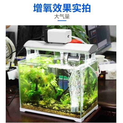 不用增氧泵怎么給魚缸增氧：如何提高魚缸中的溶氧量 不用增氧泵怎么給魚缸增氧：如何提高魚缸中的溶氧量 魚缸百科 第2張