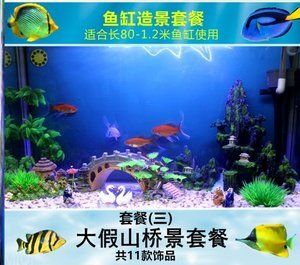 創(chuàng)意庭院魚池魚缸組合：創(chuàng)意庭院魚池魚缸組合設計