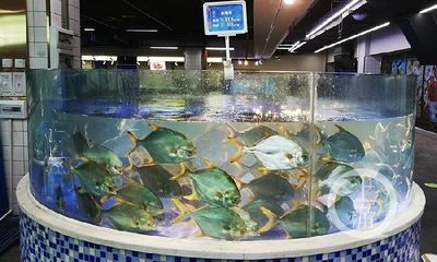 大魚缸怎么上樓：大魚缸如何搬運上樓