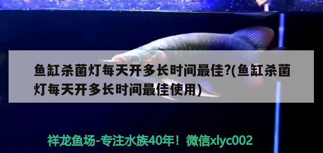 魚(yú)缸殺菌燈每天開(kāi)多長(zhǎng)時(shí)間最佳?(魚(yú)缸殺菌燈每天開(kāi)多長(zhǎng)時(shí)間最佳使用)