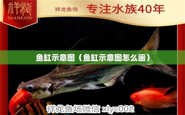 龍魚白服的成語
