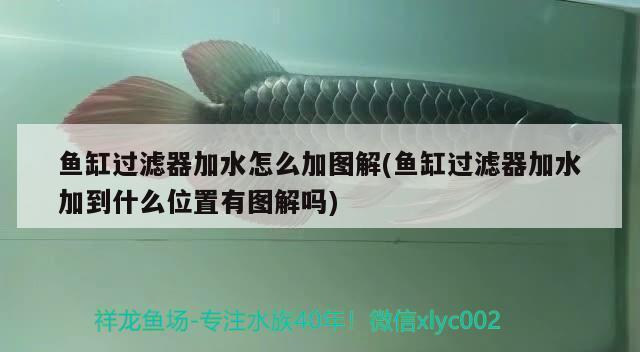 魚缸用增氧泵價格是多少:魚缸增氧機-xtrac增氧機-xtrac增氧機 創寧變頻水泵檔位使用(創寧變頻水泵檔位使用方法) 創寧水族 創寧變頻水泵檔位使用(創寧變頻水泵檔位使用方法) 創寧變頻水泵檔位使用(創寧變頻水泵檔位使用方法) 創寧水族