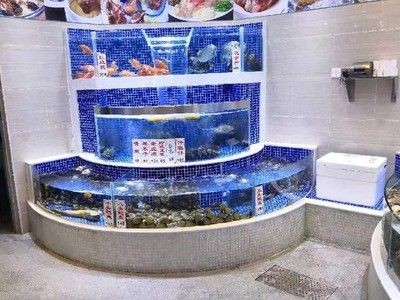 玻璃造型魚缸墻：玻璃造型魚缸墻的制作要點(diǎn)