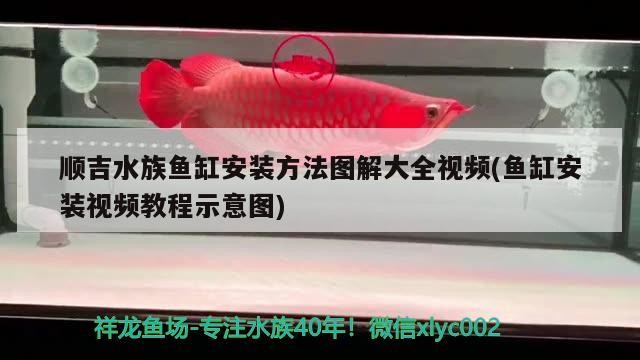 順吉水族魚缸安裝方法圖解大全視頻(魚缸安裝視頻教程示意圖) 順吉水族魚缸安裝方法圖解大全視頻(魚缸安裝視頻教程示意圖) 金龍魚百科