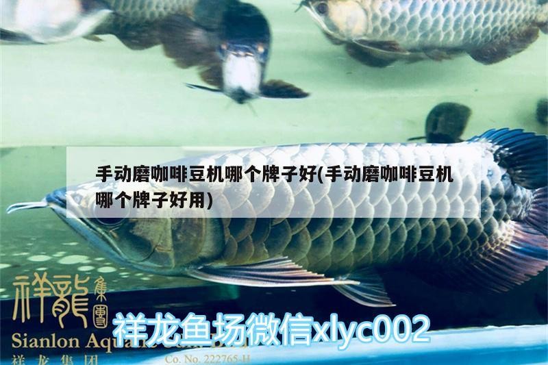 手動磨咖啡豆機(jī)哪個牌子好(手動磨咖啡豆機(jī)哪個牌子好用) 手動磨咖啡豆機(jī)哪個牌子好(手動磨咖啡豆機(jī)哪個牌子好用) 馬來西亞咖啡