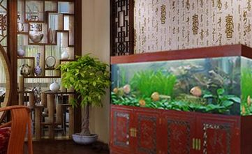 大魚缸配件都需要什么工具：大魚缸需要哪些配件和工具