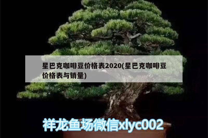 星巴克咖啡豆價(jià)格表2020(星巴克咖啡豆價(jià)格表與銷量) 星巴克咖啡豆價(jià)格表2020(星巴克咖啡豆價(jià)格表與銷量) 馬來(lái)西亞咖啡 第2張
