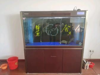 處理二手魚缸,一米二,六個(gè)打包1000,單要一個(gè)200:二手魚缸價(jià)格一般多少 魚缸百科 第2張 處理二手魚缸,一米二,六個(gè)打包1000,單要一個(gè)200:二手魚缸價(jià)格一般多少 處理二手魚缸,一米二,六個(gè)打包1000,單要一個(gè)200:二手魚缸價(jià)格一般多少 魚缸百科 第2張